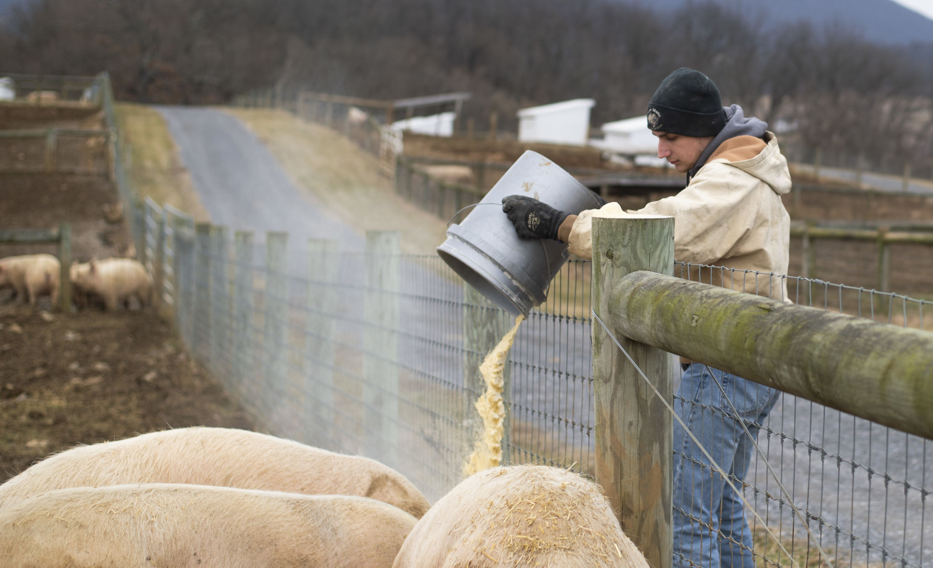 Penn State Swine Center, Eli Baker